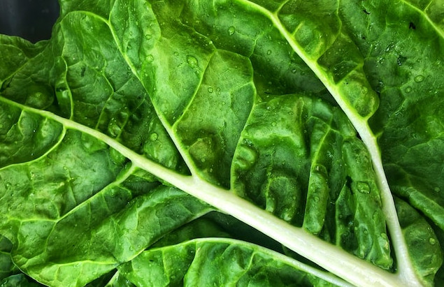 Os Benefícios Surpreendentes de Comer Vegetais de Folhas Verdes